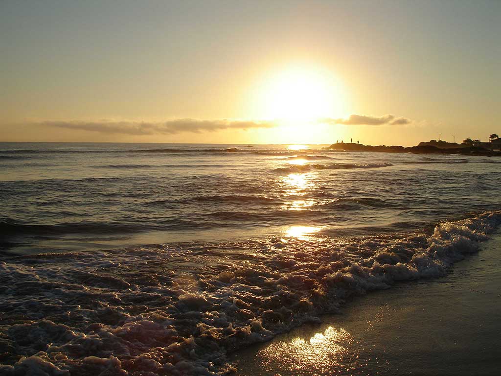 vue du soleil et des vagues à la plage de l'espiguette