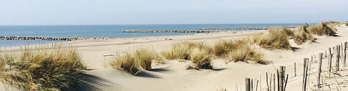 Plage de l’Espiguette au Grau-du-Roi sur le littoral méditerranéen