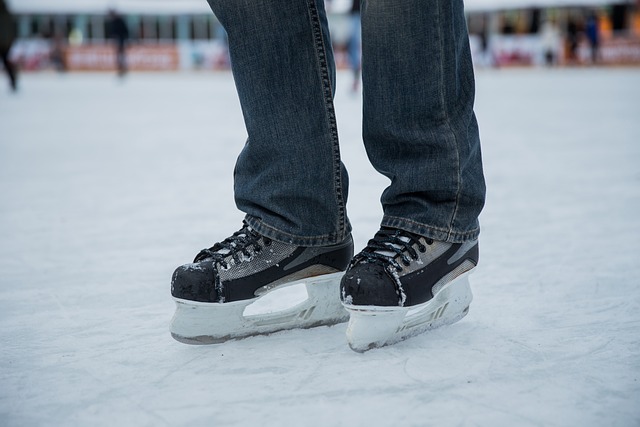 Patinoire de Nimes : Sports de Glace dans le Gard l OVS Nimes